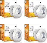 Electric Ceiling Light